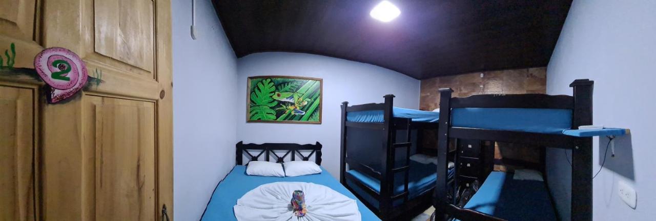 Hostel Tortuguero 7Backpackers ภายนอก รูปภาพ