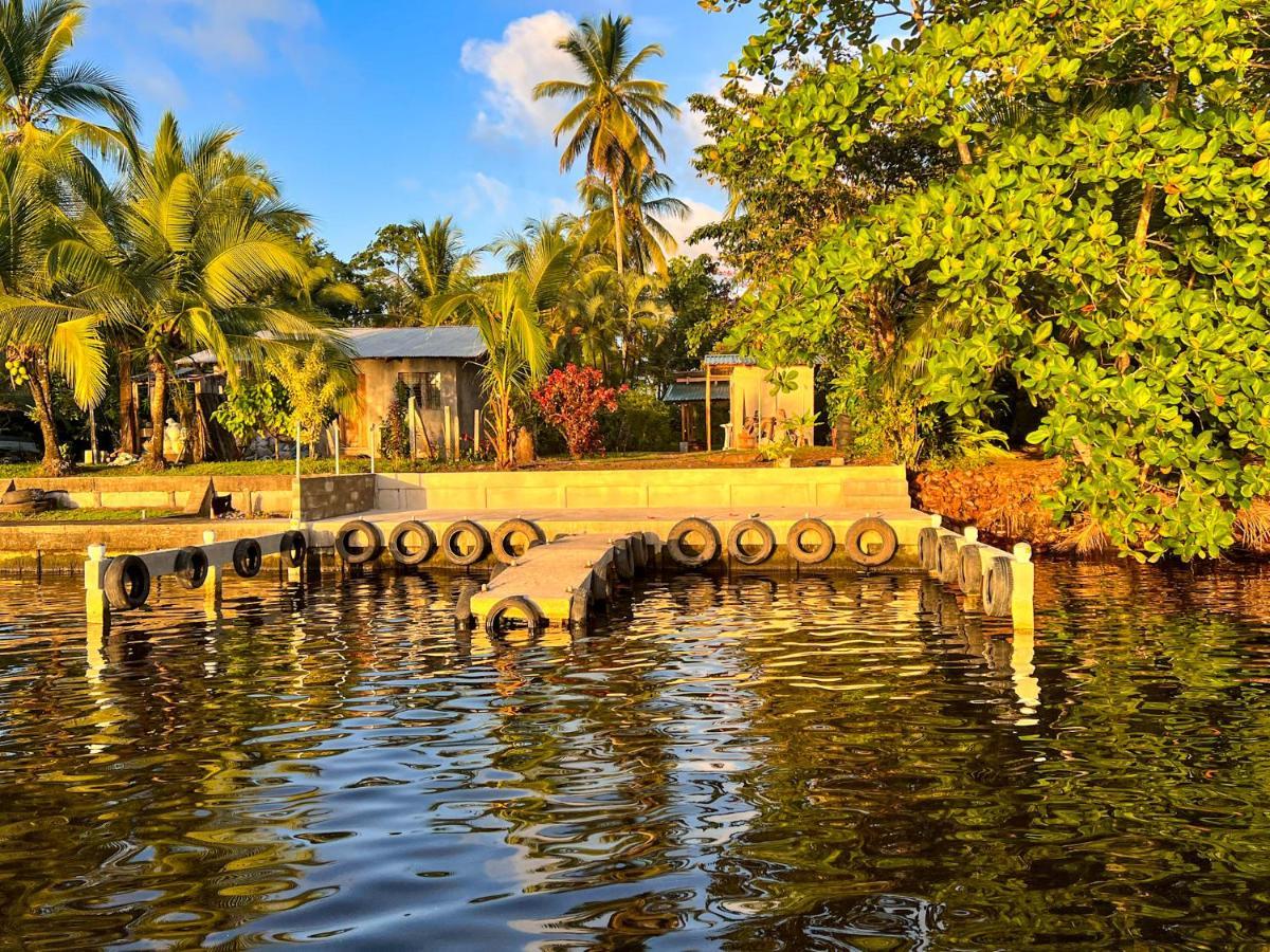 Hostel Tortuguero 7Backpackers ภายนอก รูปภาพ